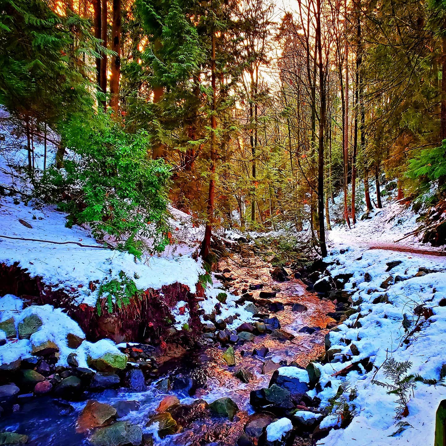 Sylvia Lorianne Leong SPRING