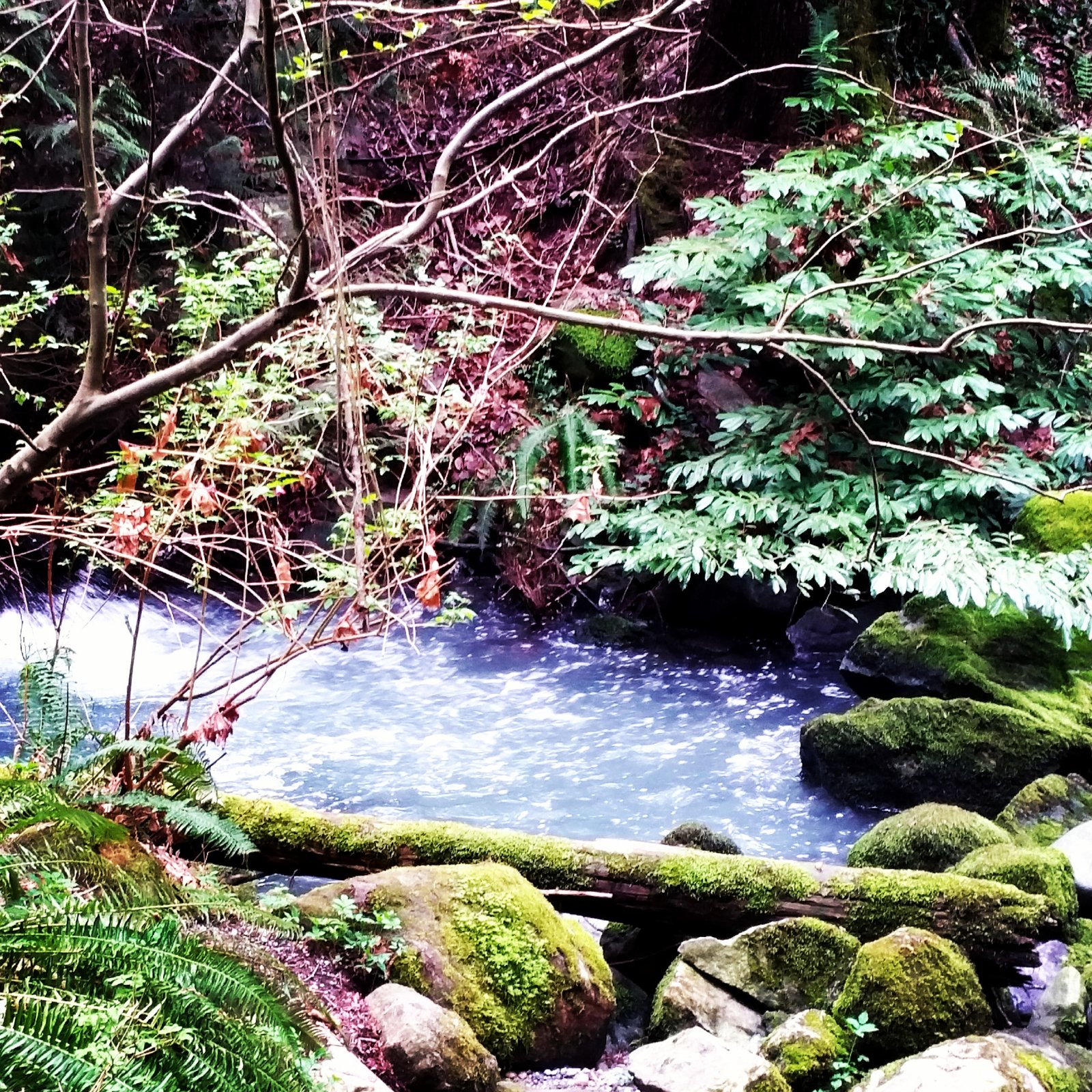 Sylvia Lorianne Leong BATH