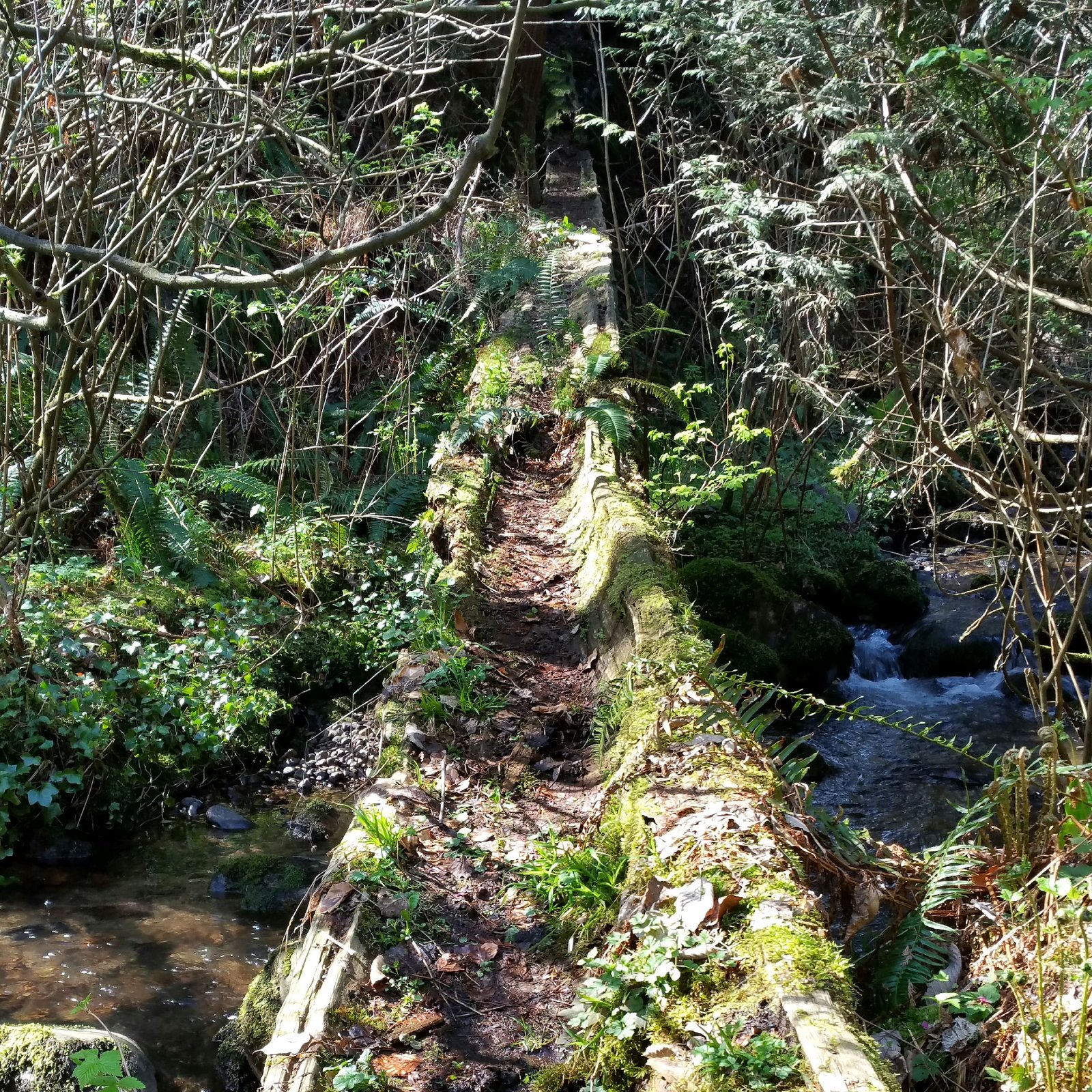 Sylvia Lorianne Leong FEAST