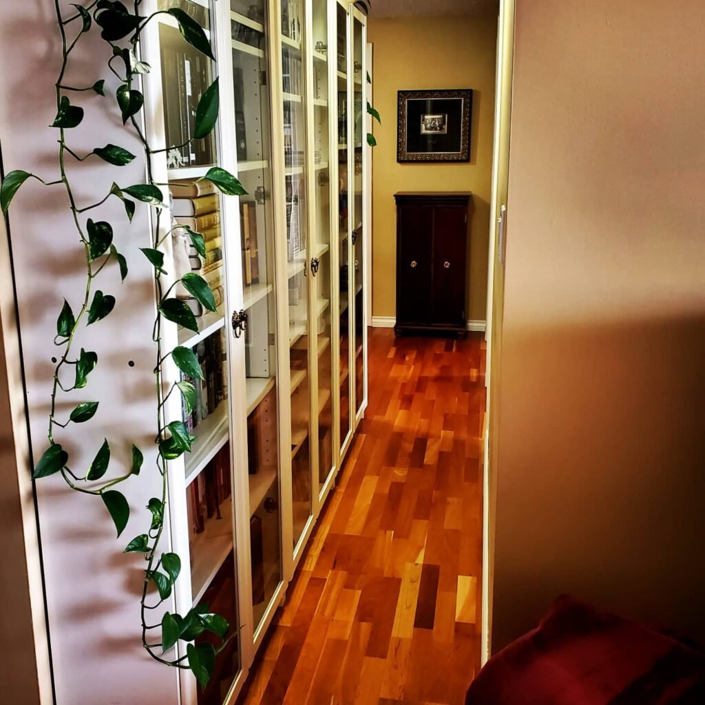 Cottage in the Sky: This hallway is wide enough for shelving. These IKEA Billy bookcases have lasted us over 20 years.