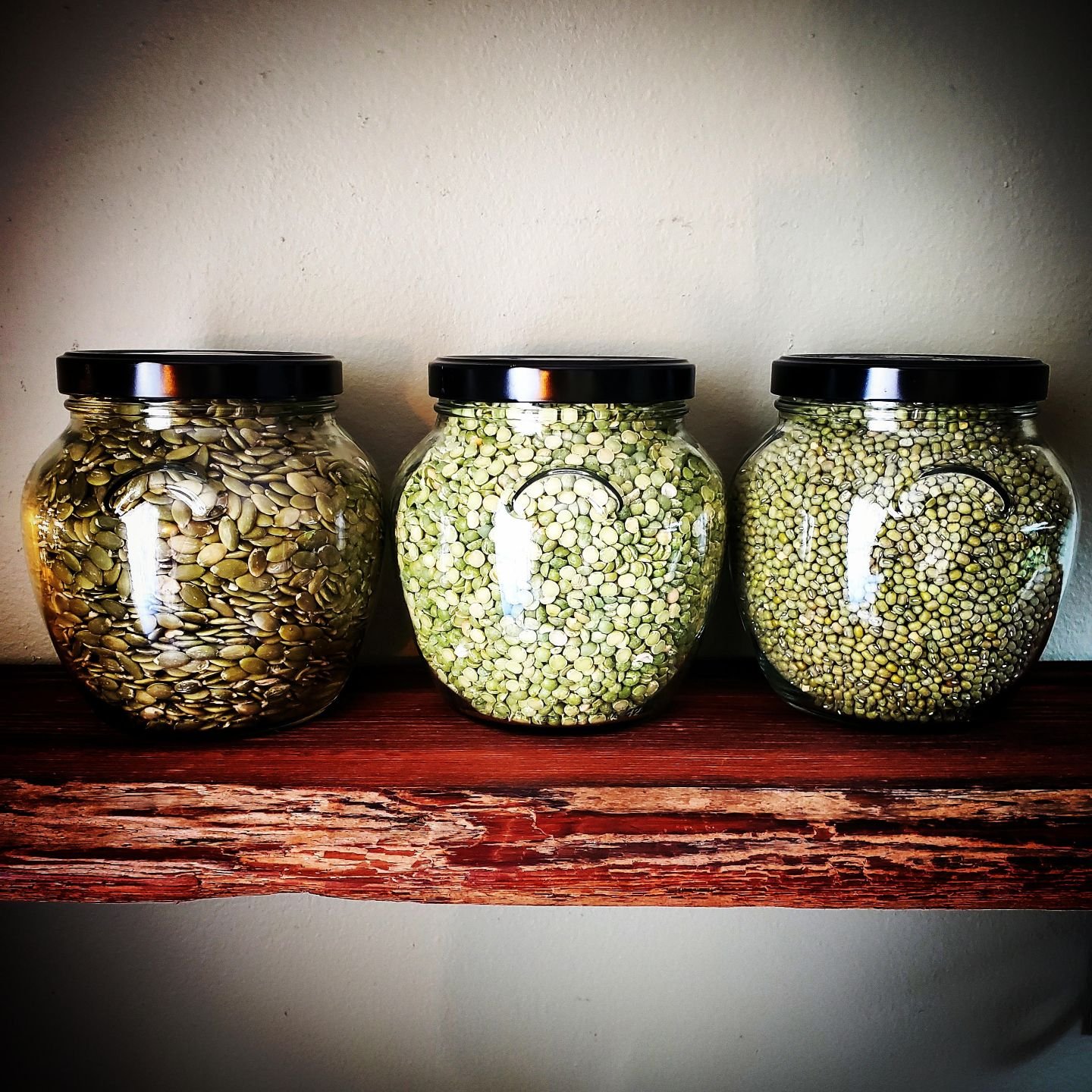 Sylvia Lorianne Leong, Cottage in the Sky Keep your food in glass, ceramic, or stainless steel.