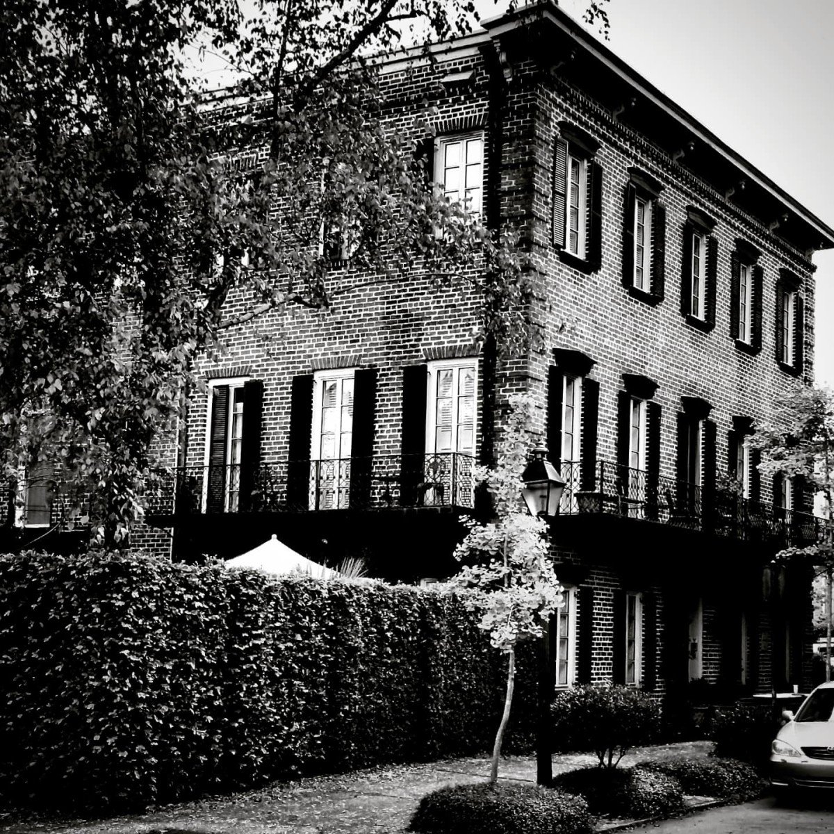 7 Ways to Stop a Rogue Strata Council