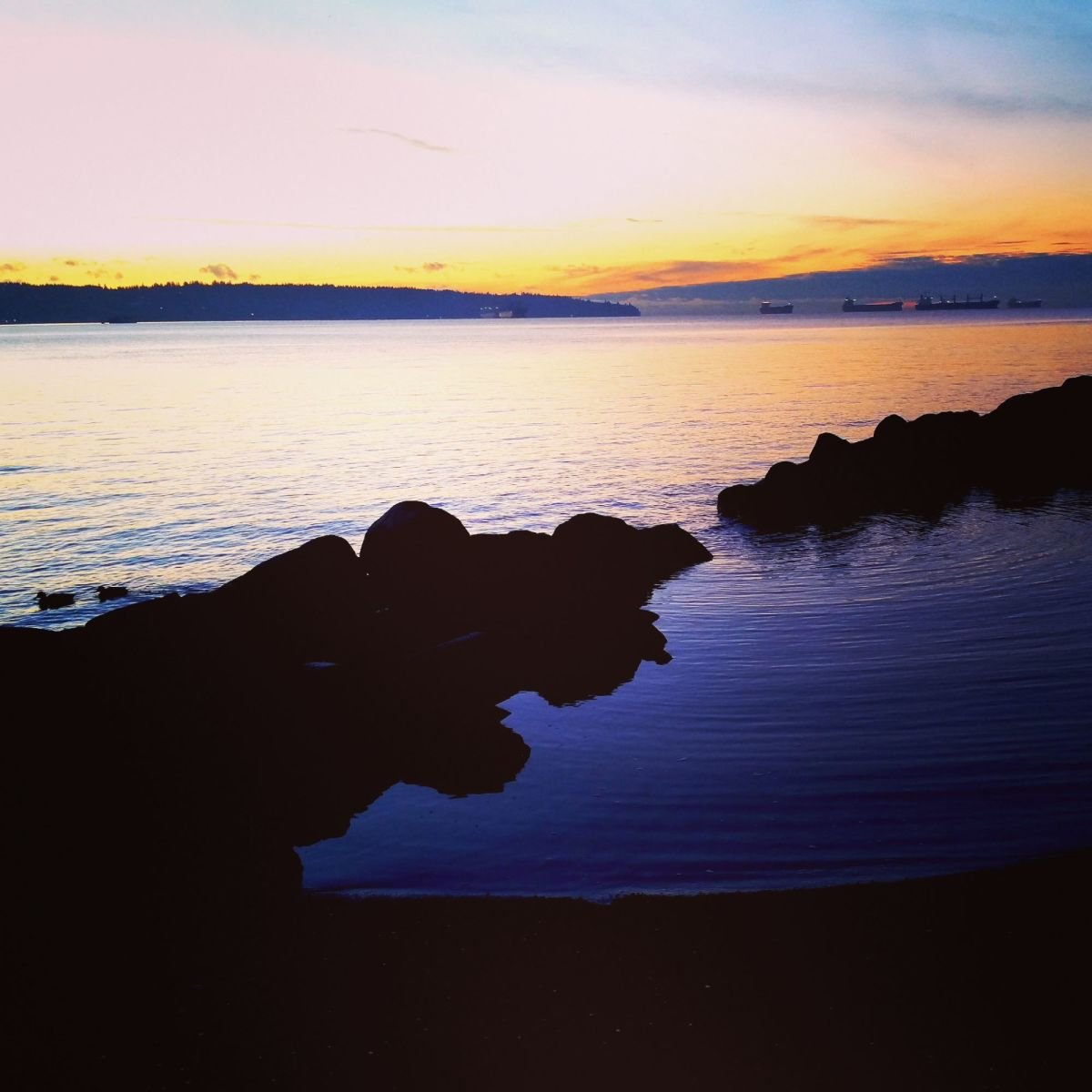 AnnoyZneighbour: The Detrimental Health Effects of Noise Pollution