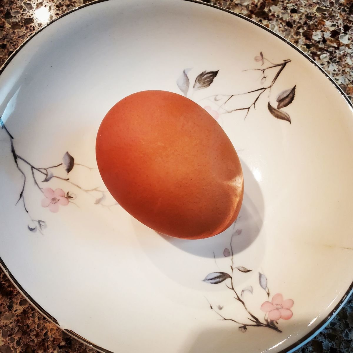 Sylvia Lorianne Leong Hard boiled eggs are such a gift.